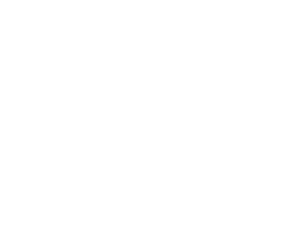 Carolina Cargo Solutions, LLC Header/Footer Logo